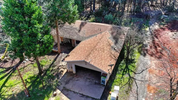 a view of backyard with a deck and a large tree