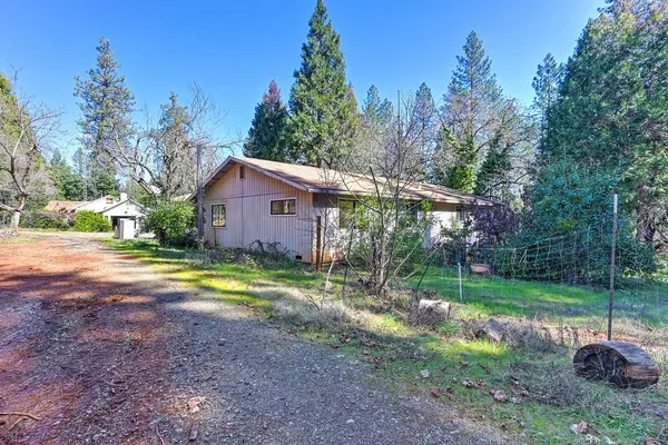 a view of backyard with tree s