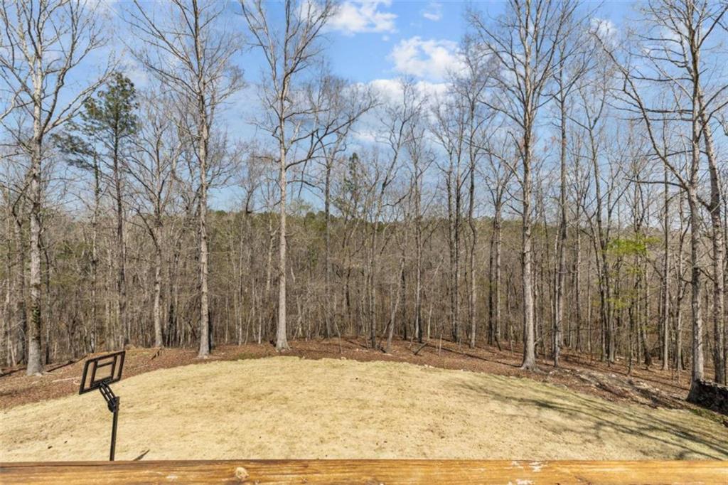 9810 Walnut Grove Trail Villa Rica, GA 30180 - Photo 32 of 42