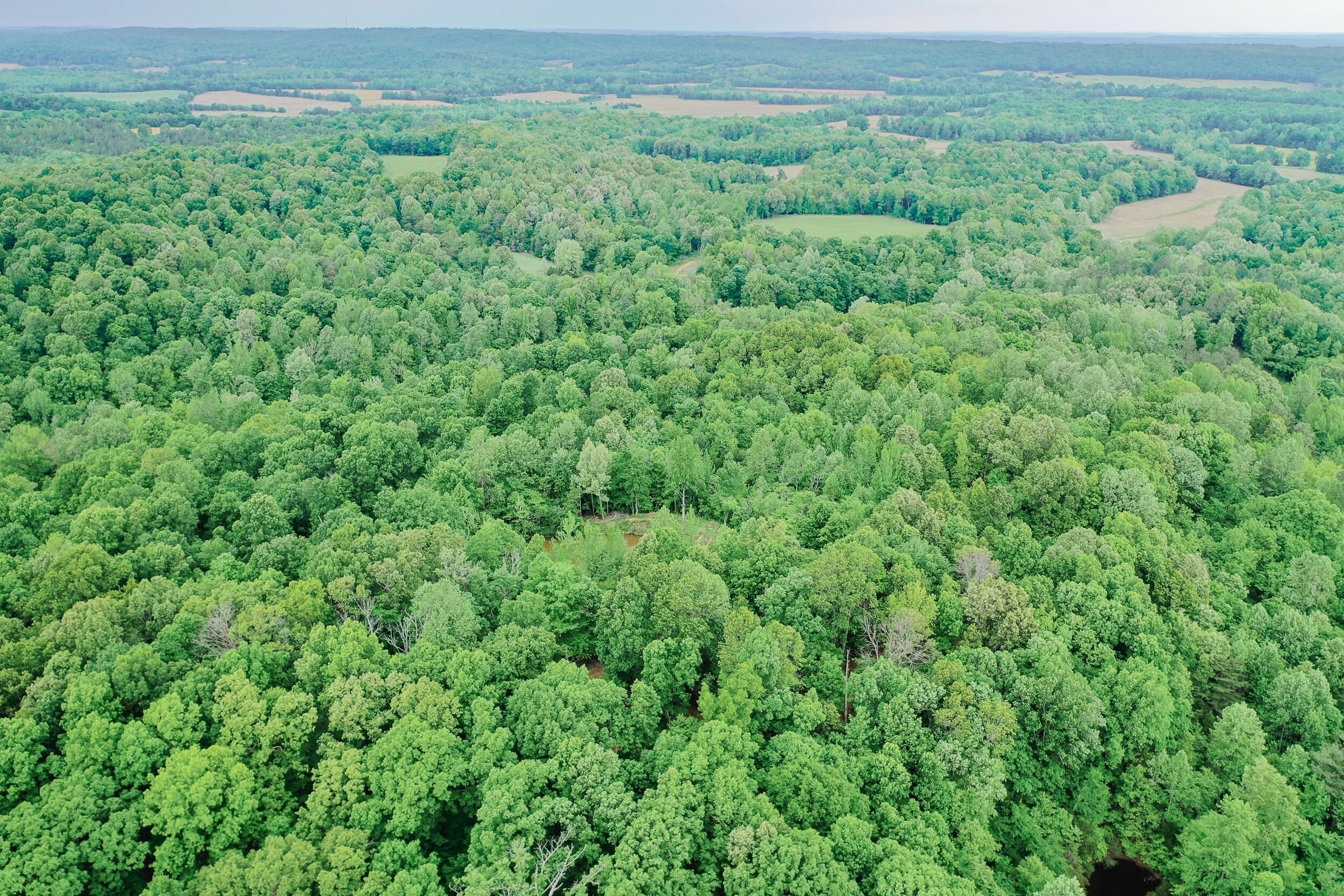 406 Lakewood Road, Unit TRACT 2 Princeton, KY 42445 - Photo 4 of 31 20260427-DJI_0311