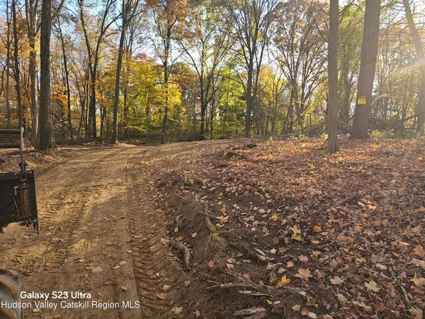 a view of a yard with trees