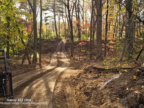 a view of yard with trees