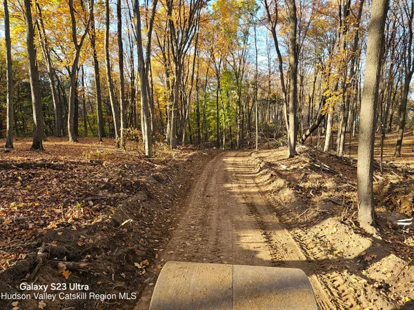 a view of dirt yard with a large tree