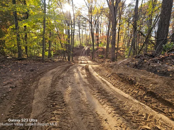 a view of a yard with trees