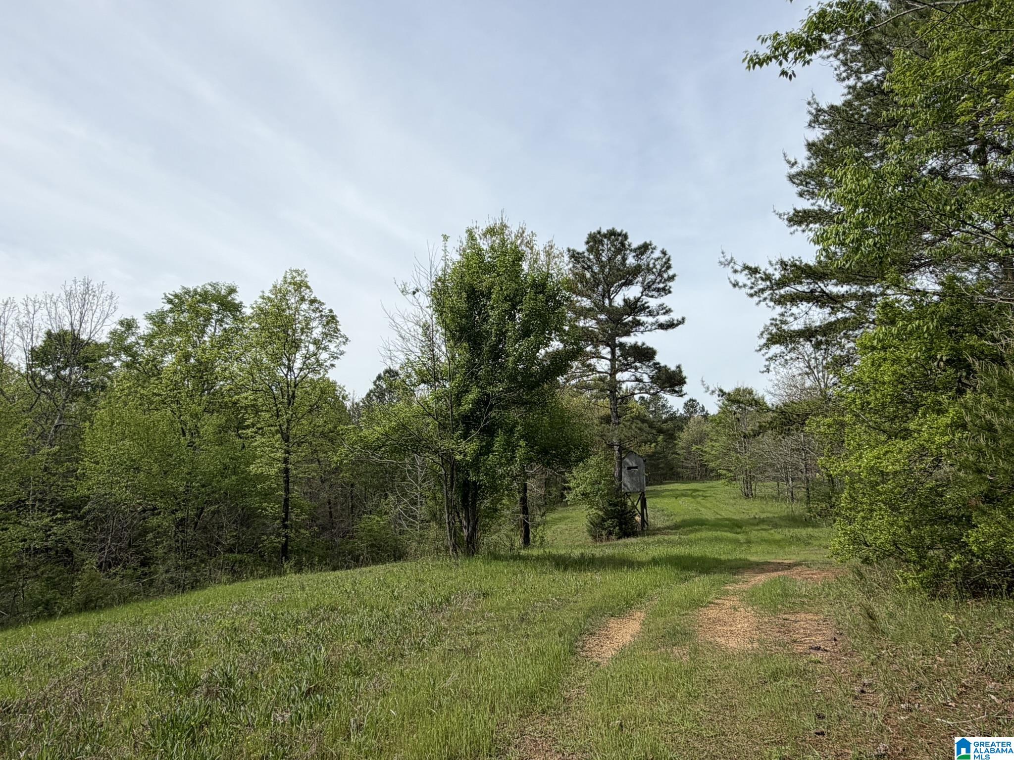 2121 Center Hill Road Trafford, AL 35172 - Photo 29 of 100