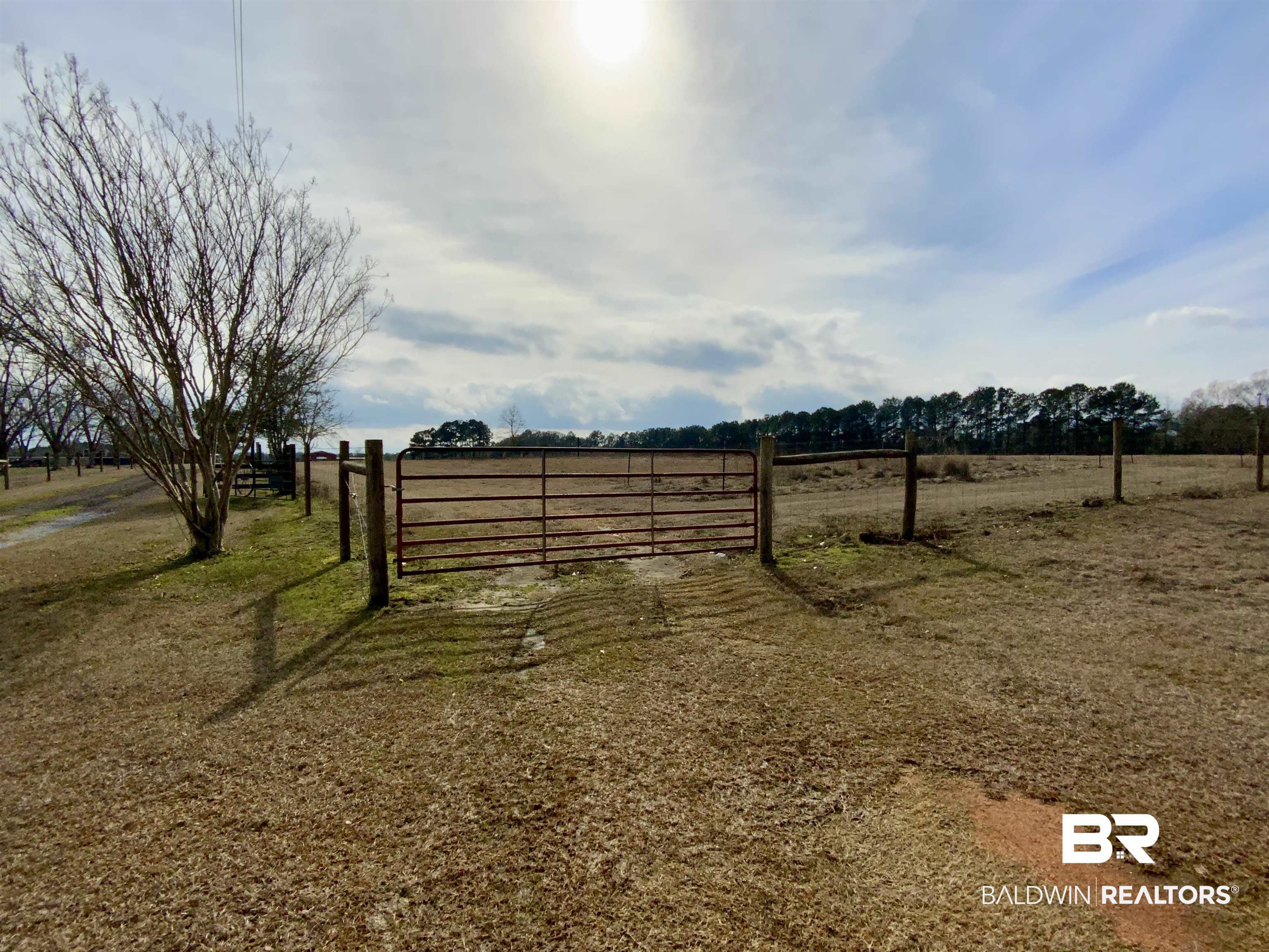 19800 Hoyle Bryars Road Perdido, AL 36562 - Photo 14 of 28 Expansive open land with a metal gate entrance and natural fencing