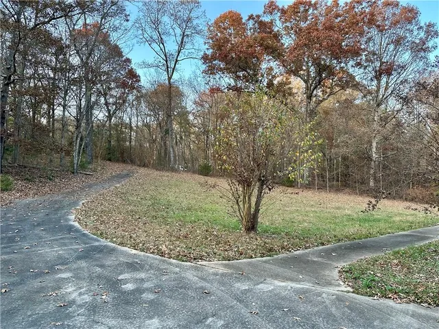 a view of a park with large trees