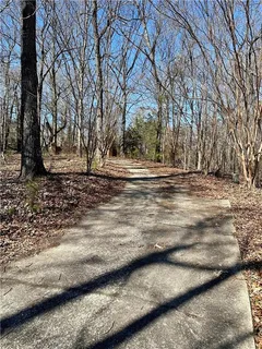 a view of dirt yard with large trees