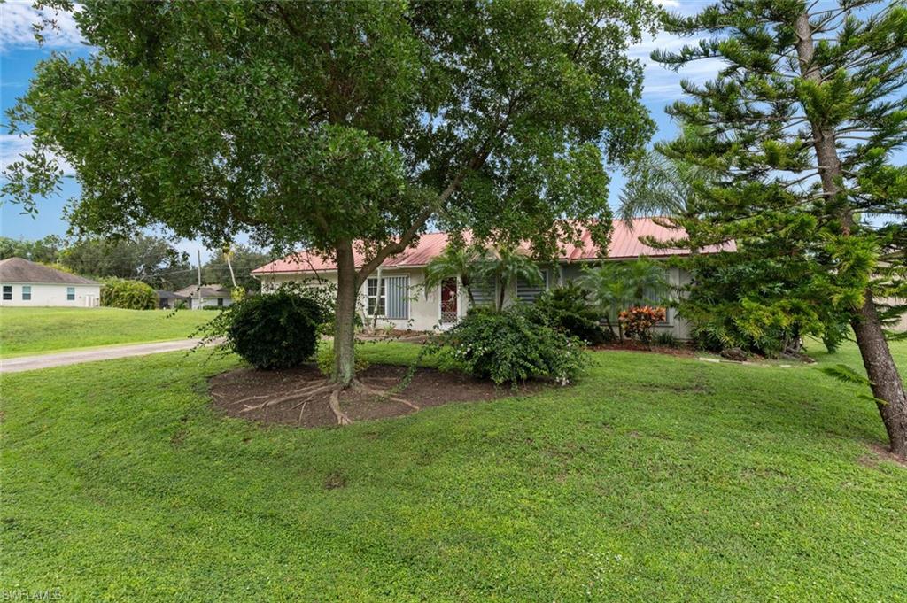 17520 Duquesne Road Fort Myers, FL 33967 - Photo 8 of 26 a garden with trees in front of it