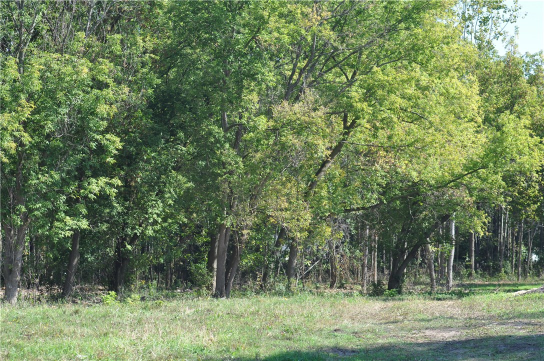 1 Geneva Street Milo, NY 14527 - Photo 2 of 6