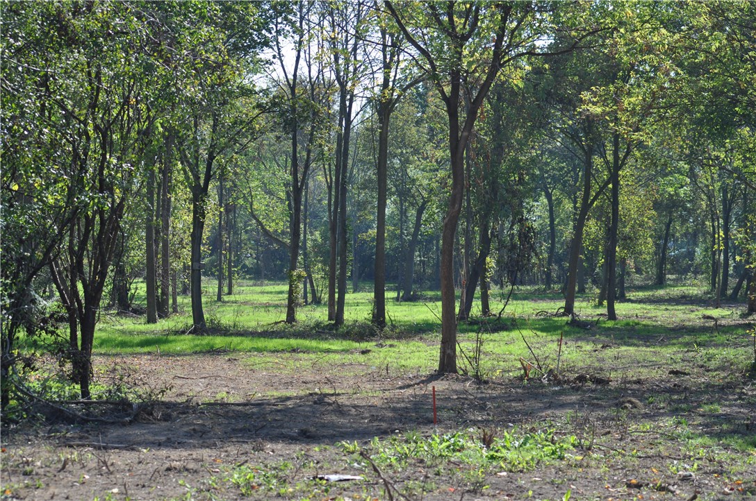 1 Geneva Street Milo, NY 14527 - Photo 3 of 6