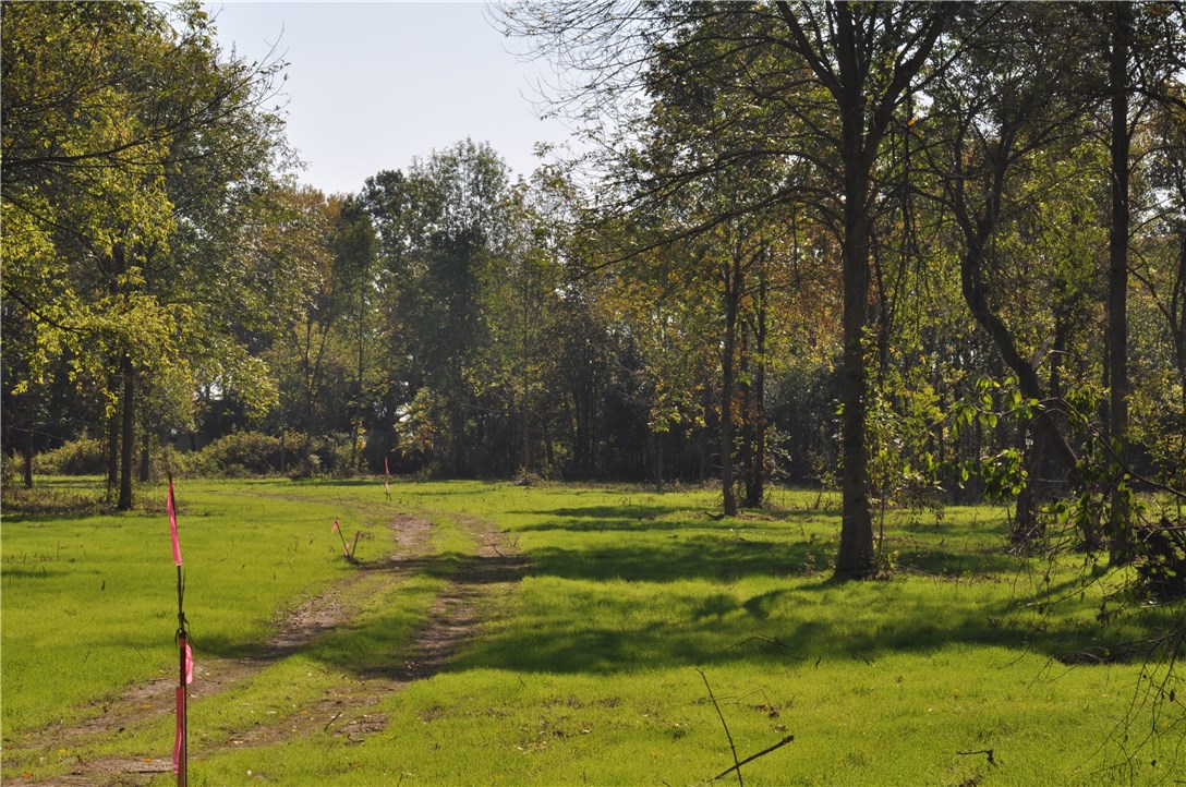 1 Geneva Street Milo, NY 14527 - Photo 5 of 6