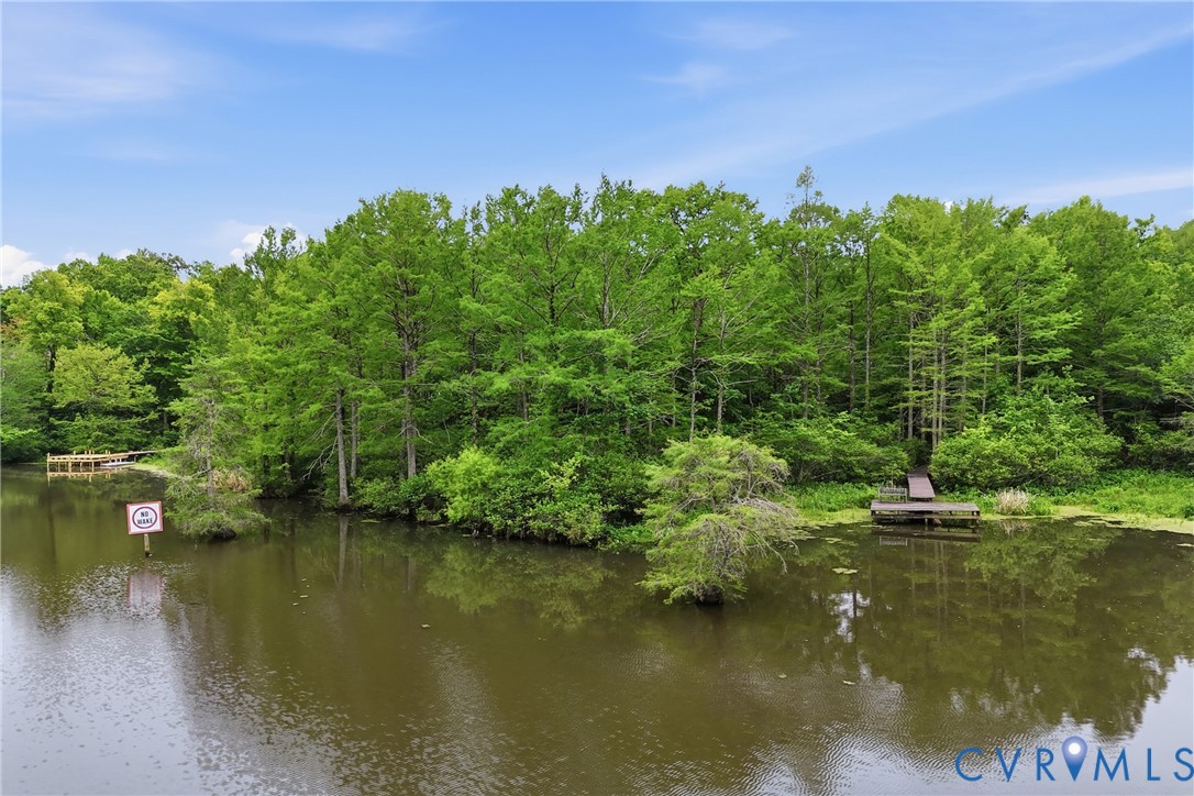 14860 Cypress Bank Road Providence Forge, VA 23140 - Photo 53 of 72