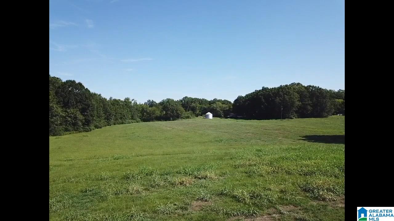 160 Strickland Lane Alpine, AL 35014 - Photo 10 of 50