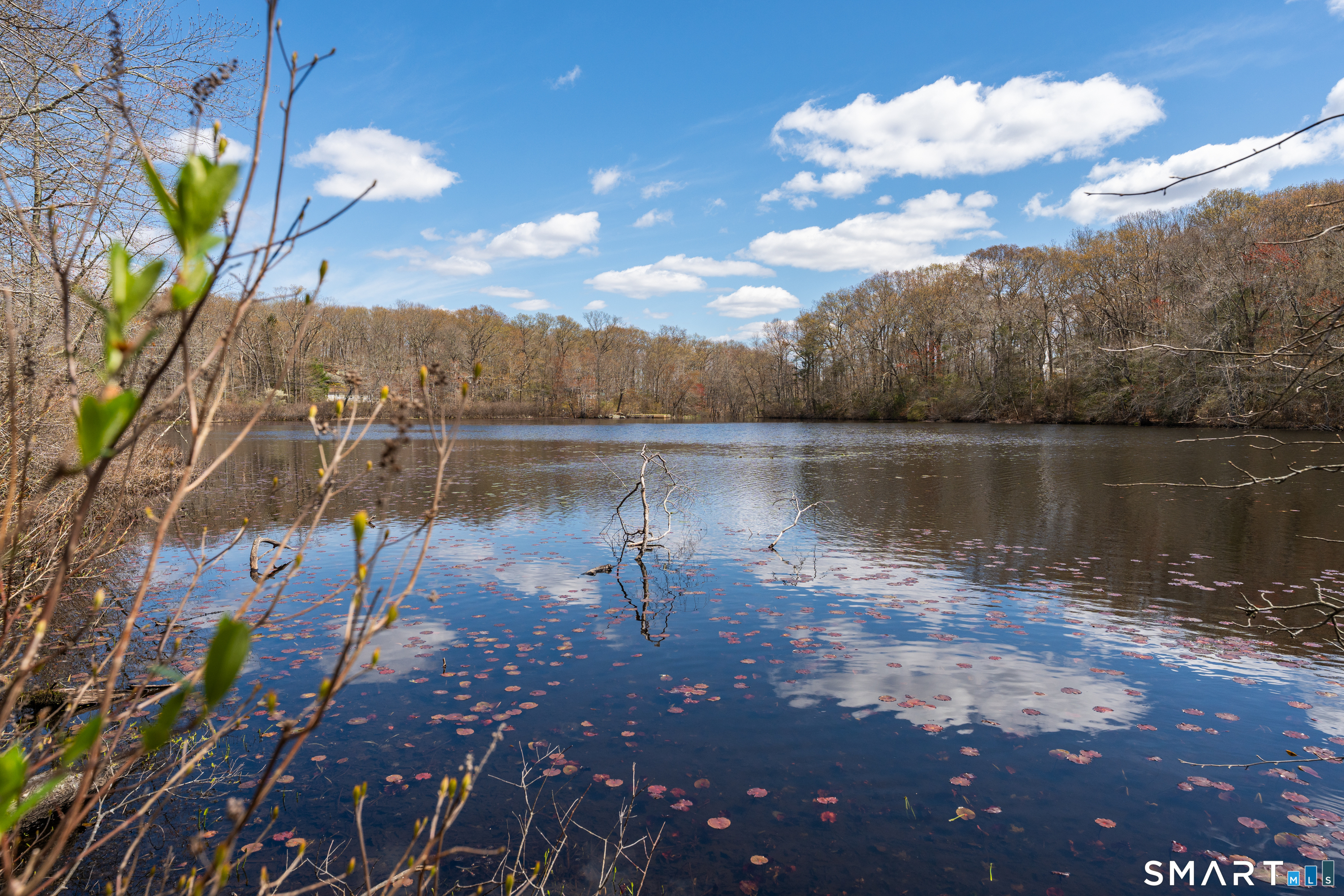 257 Elm Street Deep River, CT 06417 - Photo 41 of 42