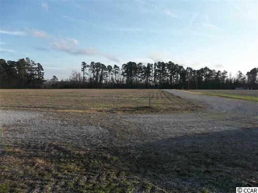 5761 Carolina Road Green Sea, SC 29545 - Photo 2 of 6 Gallery Image 2