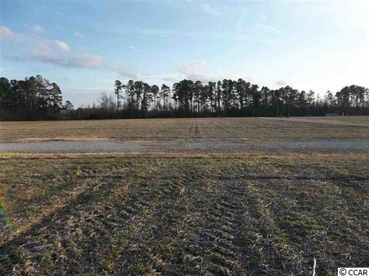 5761 Carolina Road Green Sea, SC 29545 - Photo 3 of 6 Gallery Image 3