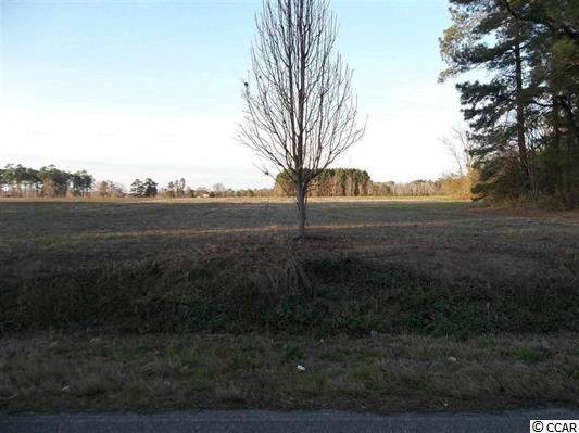 5761 Carolina Road Green Sea, SC 29545 - Photo 6 of 6 Gallery Image 6