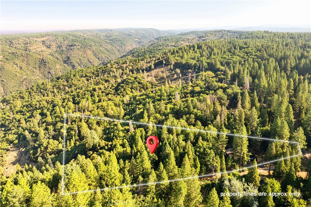 14969 Centerville Road Magalia, CA 95954 - Photo 42 of 75