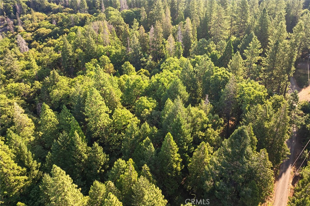 14969 Centerville Road Magalia, CA 95954 - Photo 45 of 75