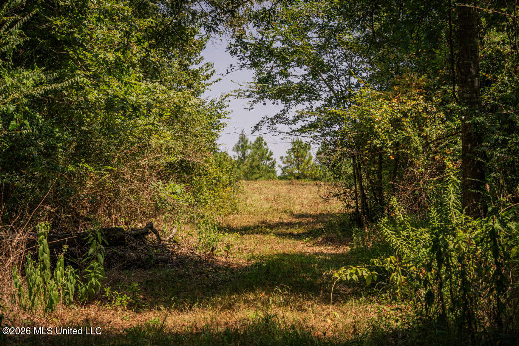 5056 Bethesda Road Crystal Springs, MS 39059 - Photo 33 of 48 DSC01811