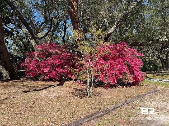 29701 Spring Branch Road West Elberta, AL 36530 - Photo 42 of 46 Yard