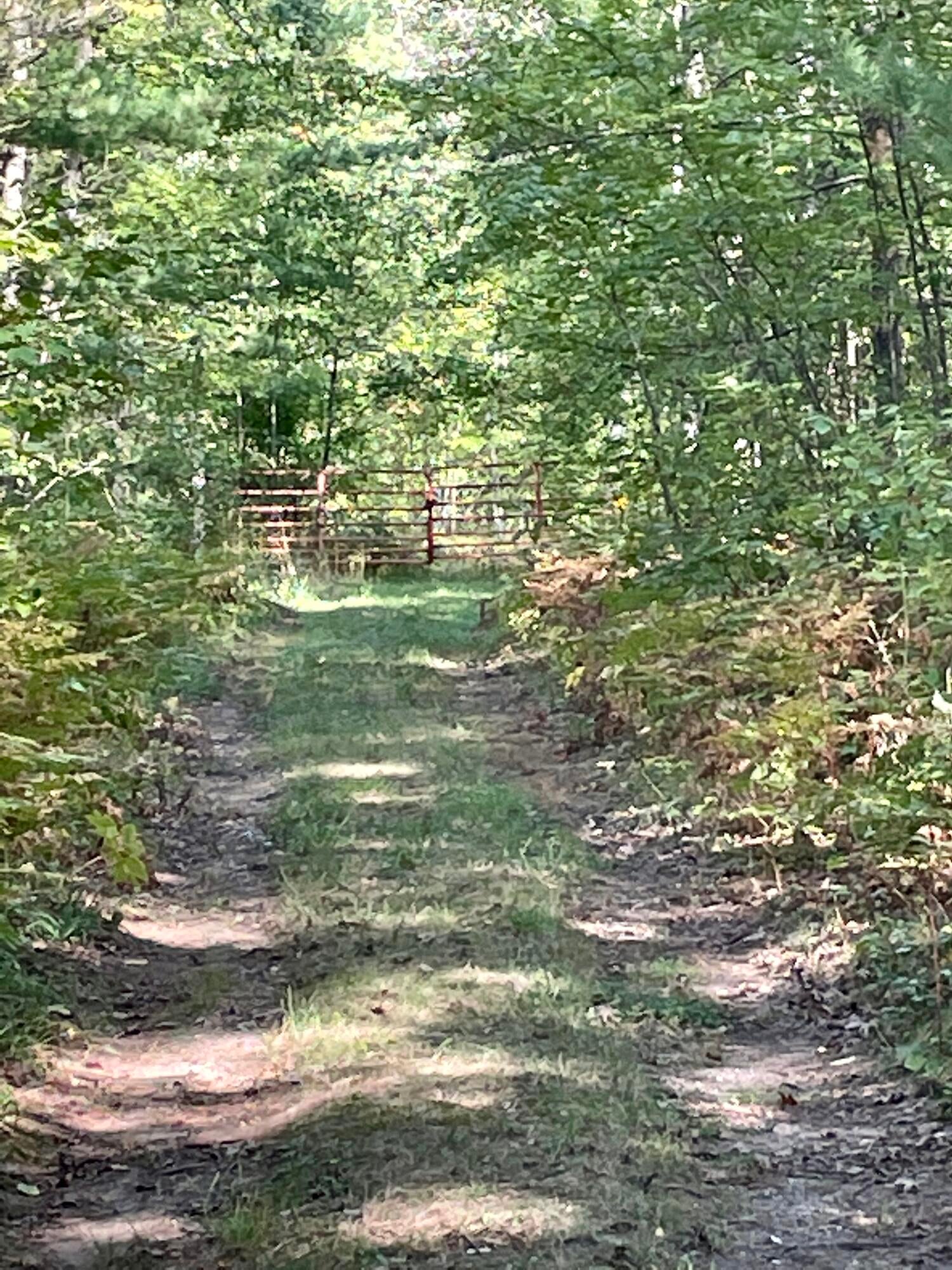 7675 Meridian Line Road Johannesburg, MI 49751 - Photo 21 of 42 Gallery Image 21