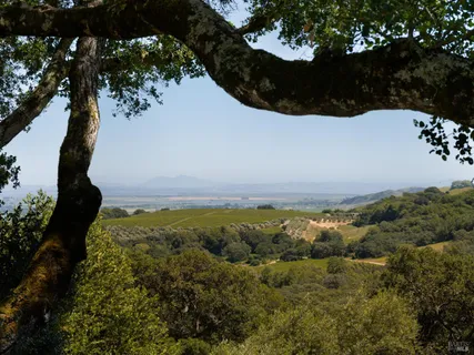 $4,995,000 | 3810 White Alder, Sonoma, CA 95476