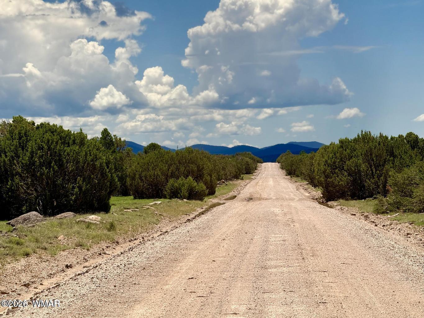 121 County Road Concho, AZ 85924 - Photo 7 of 18 Gallery Image 7