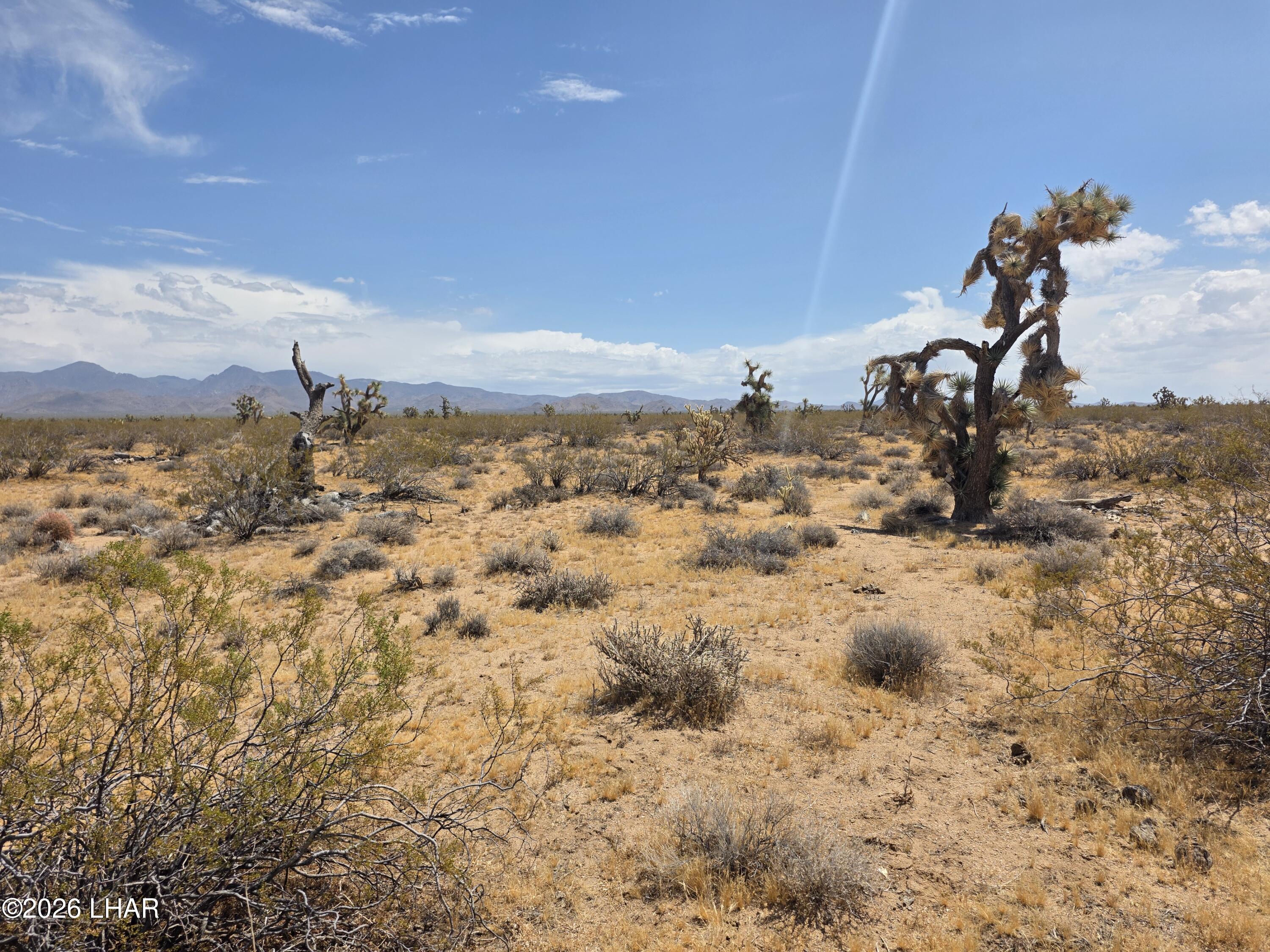 Parcel2328 South Tom Mix Road Yucca, AZ 86438 - Photo 1 of 17 a view of a lake