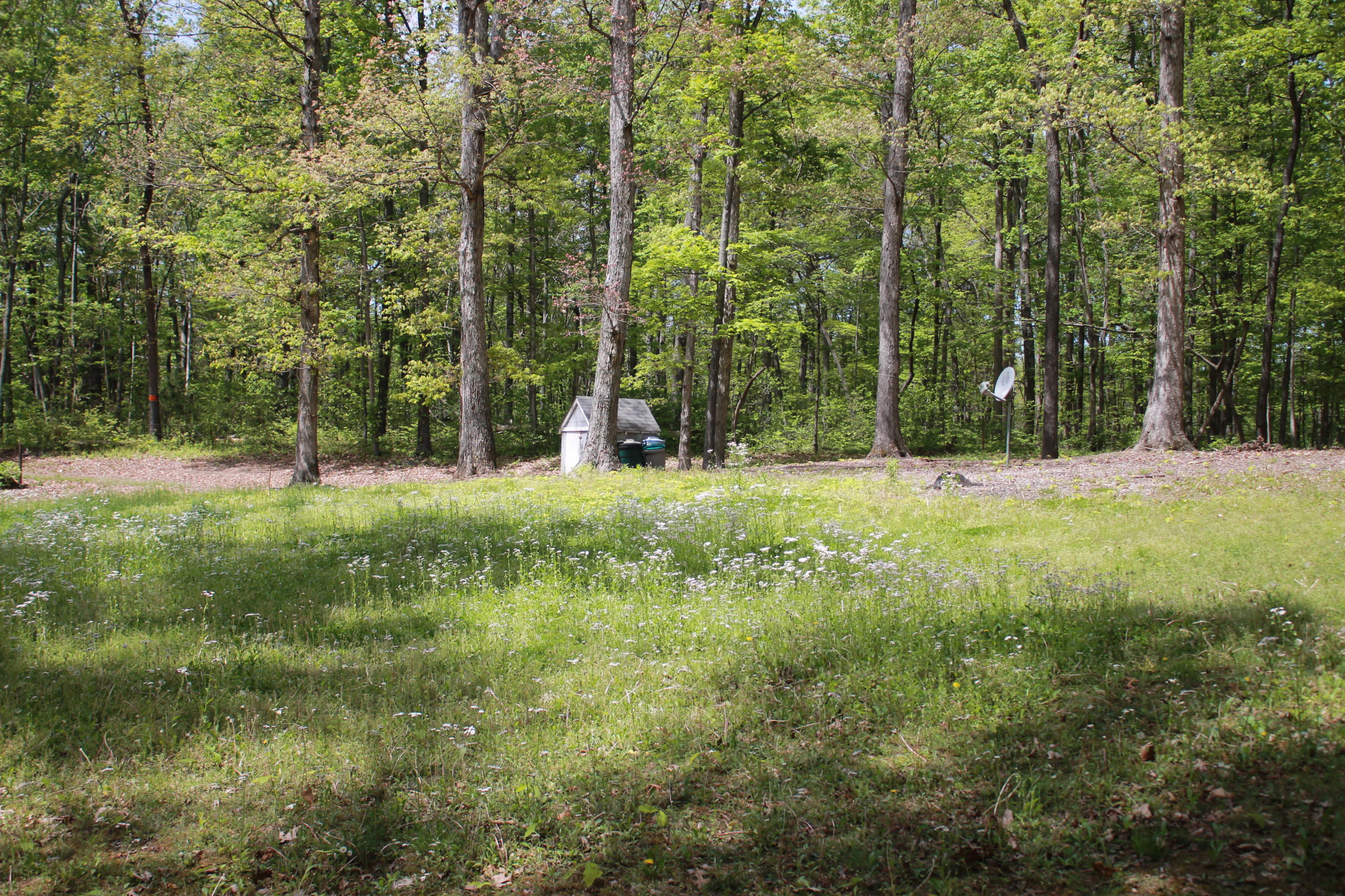 330 Ailey Road Dandridge, TN 37725 - Photo 1 of 20 IMG_6417