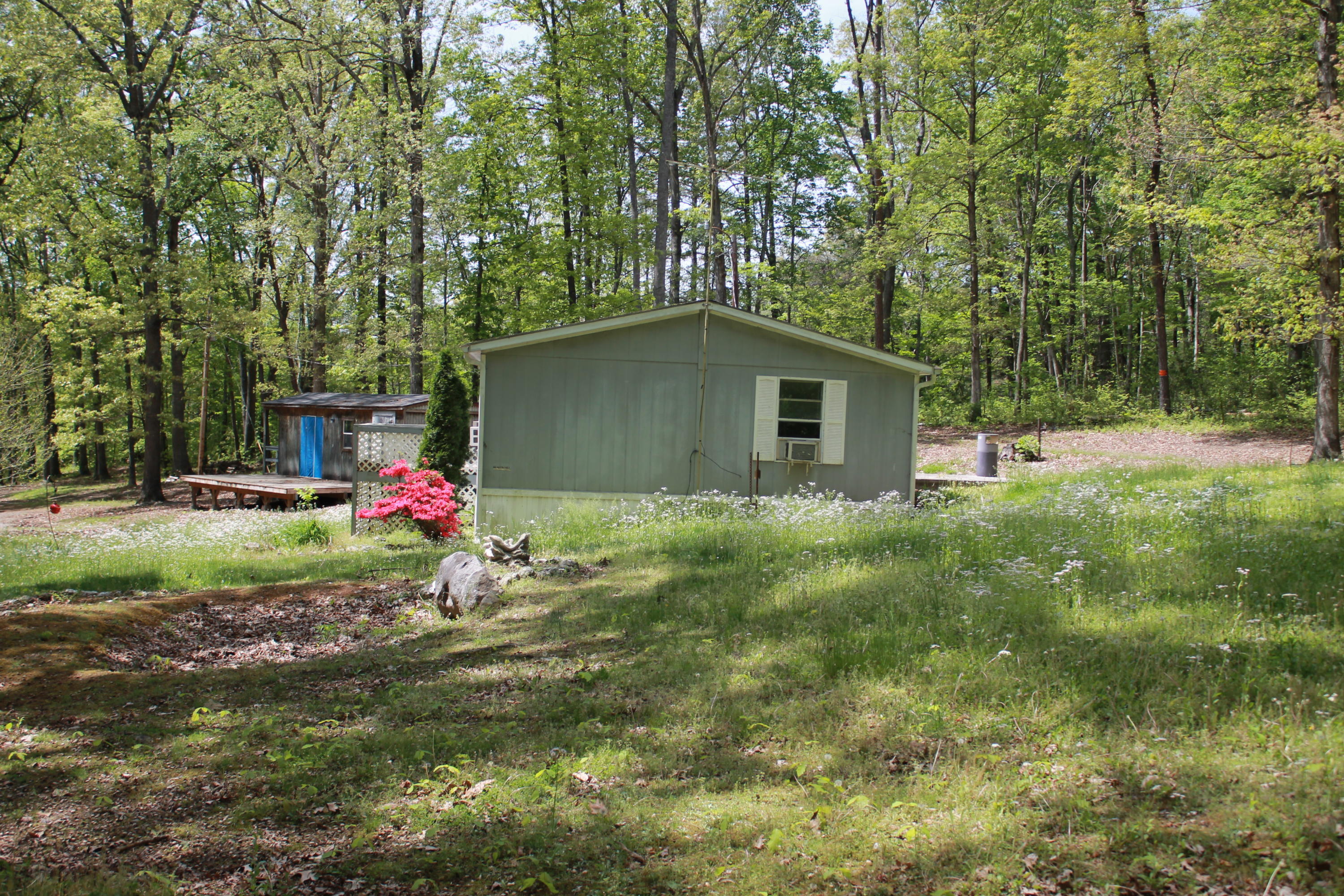 330 Ailey Road Dandridge, TN 37725 - Photo 7 of 20 IMG_6416
