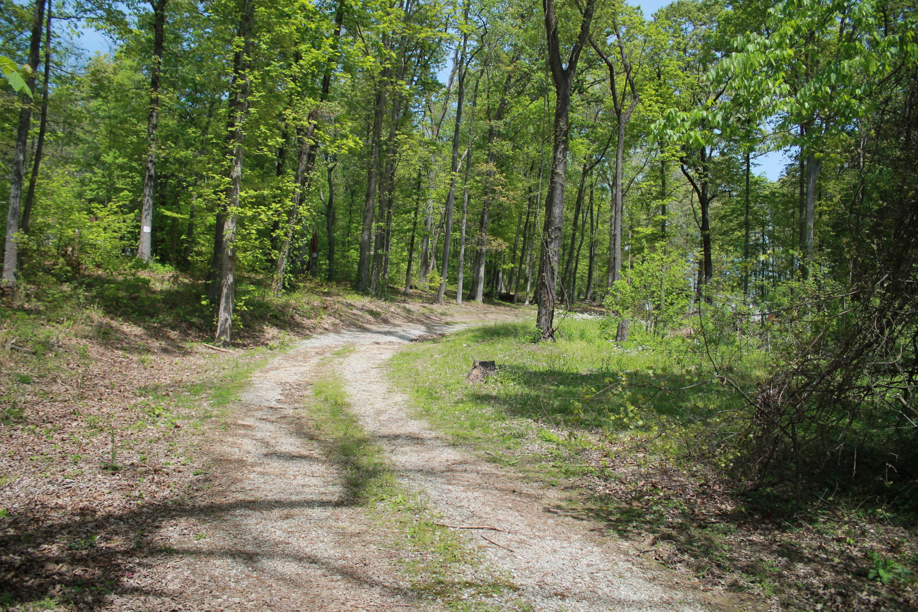 330 Ailey Road Dandridge, TN 37725 - Photo 8 of 20 IMG_6409
