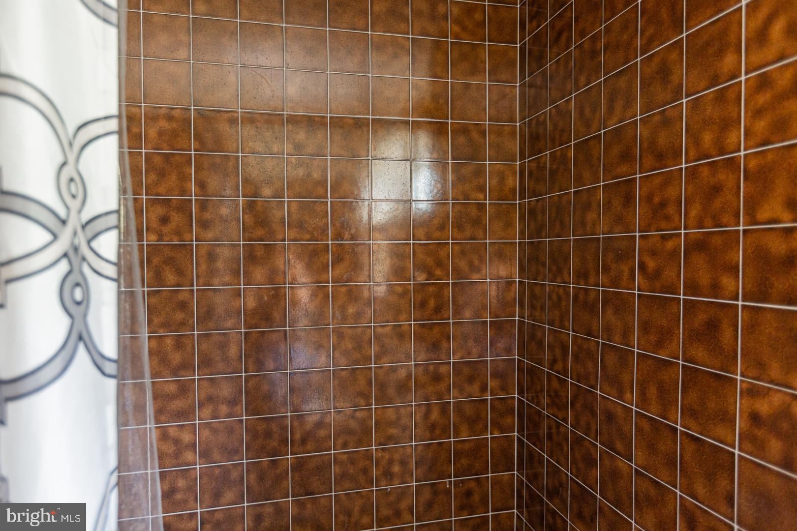 681 Ridgeview Drive Ephrata, PA 17522 - Photo 46 of 71 Upper level - full bathroom