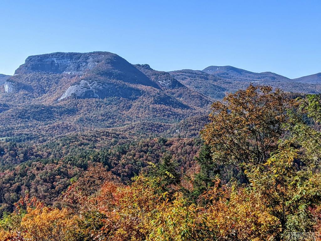 125 Rambouillet Road Cashiers, NC 28717 - Photo 43 of 49 Gallery Image 43