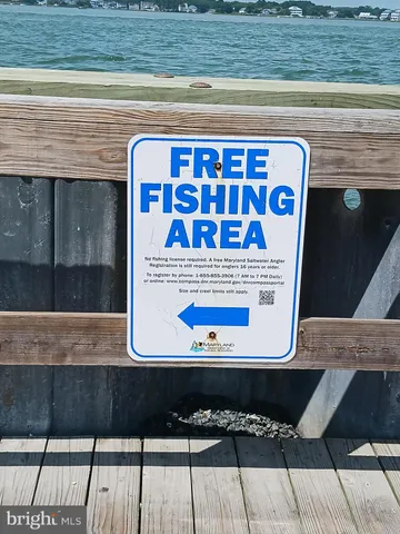a car parked on the side of the river