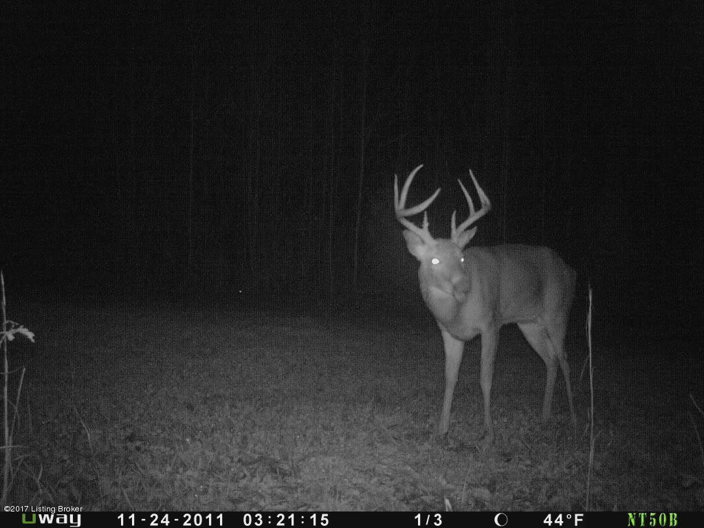 0 Arnold Ridge Road Lewisburg, KY 42256 - Photo 35 of 36 PICT0412