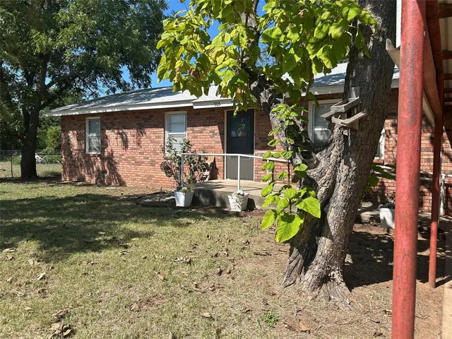 a view of a yard with plants and a large tree