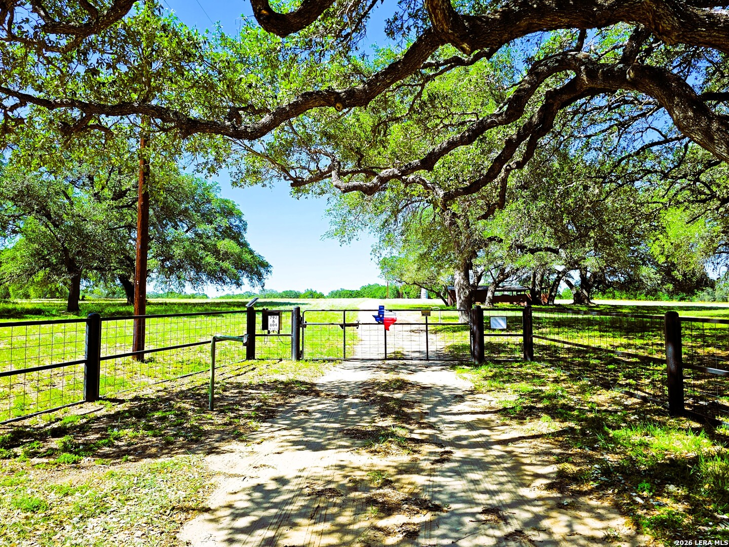 a view of park with a bench