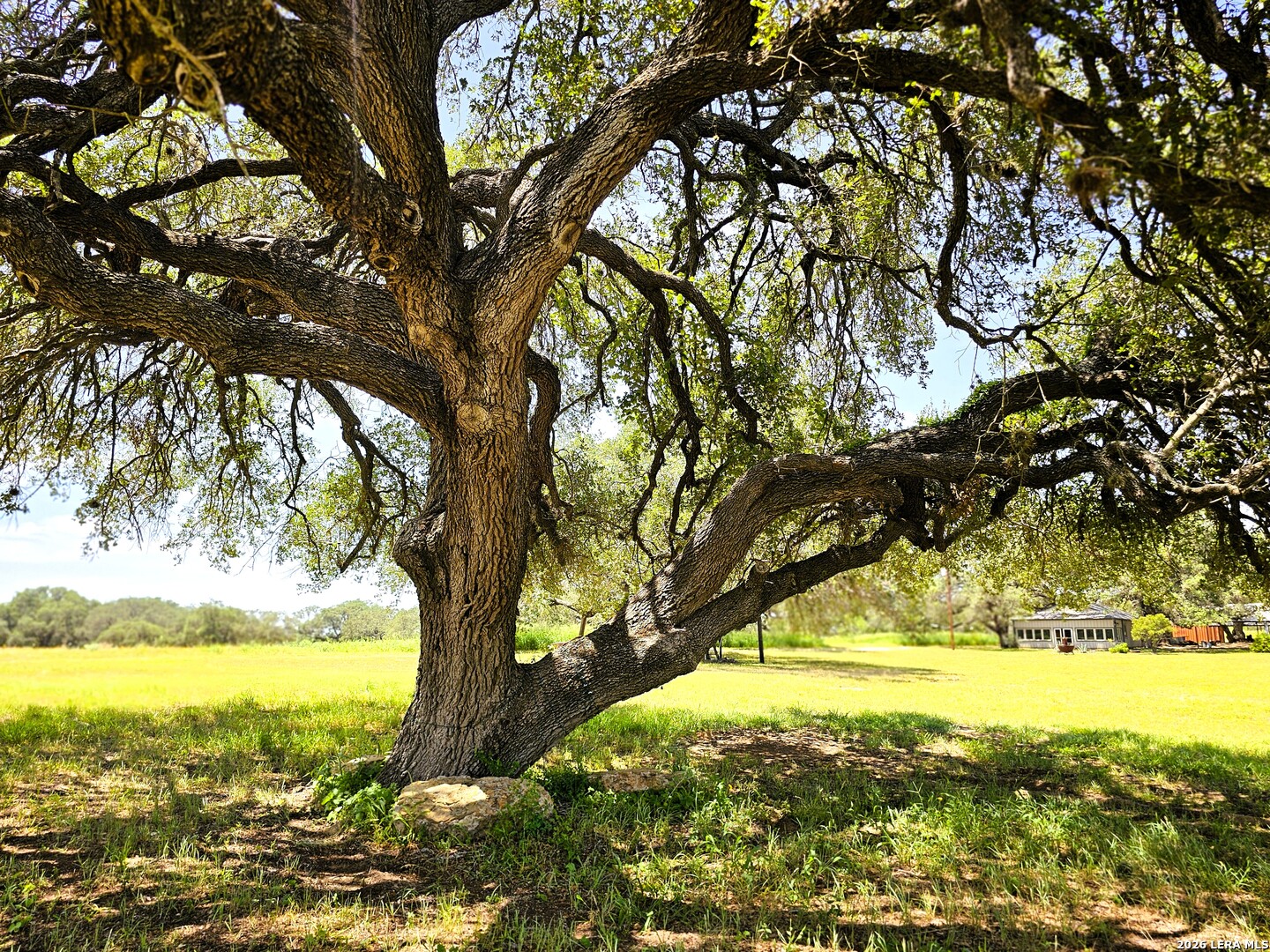 799 County Road 6612 Devine, TX 78016 - Photo 26 of 32