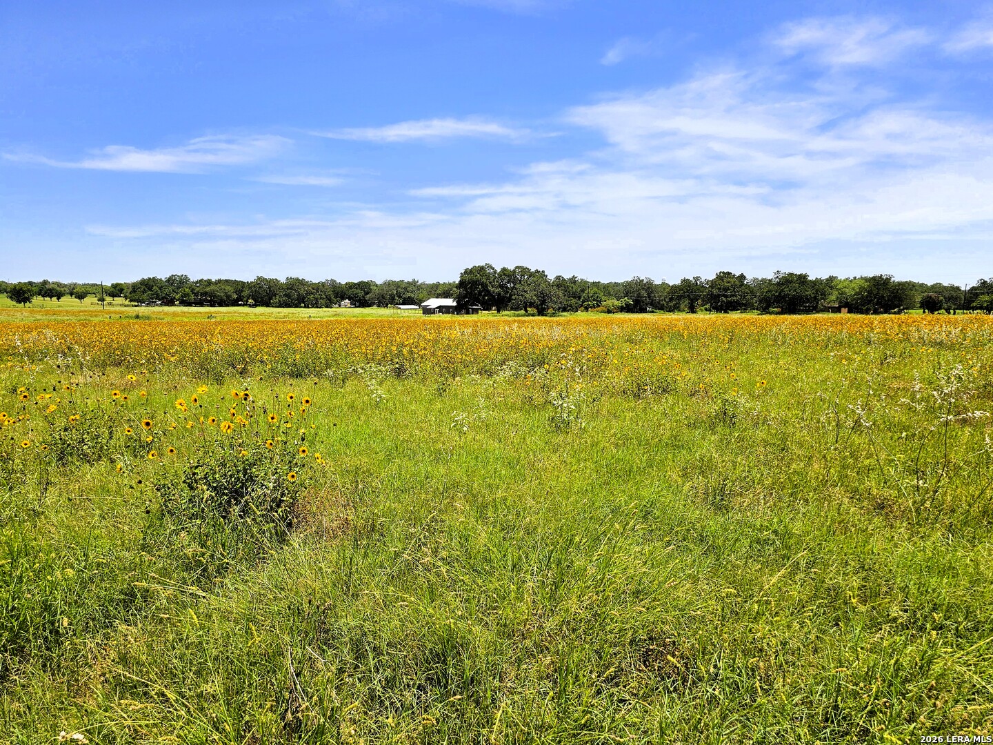 799 County Road 6612 Devine, TX 78016 - Photo 27 of 32 a view of a lake from a yard