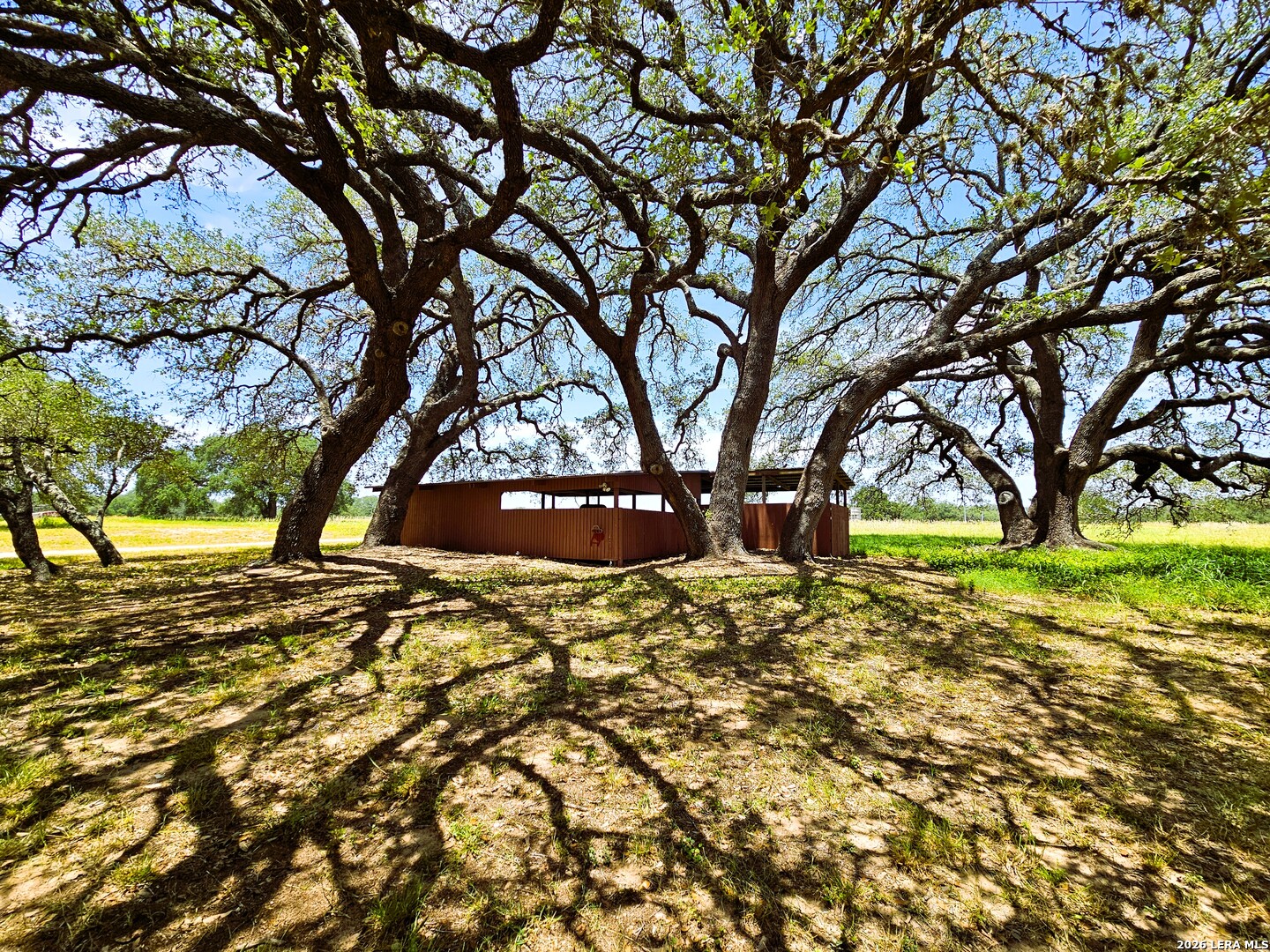 799 County Road 6612 Devine, TX 78016 - Photo 28 of 32 a view of yard with trees