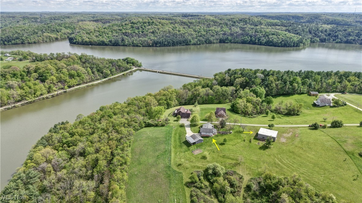 Bird's eye view of a forest and a large body of water