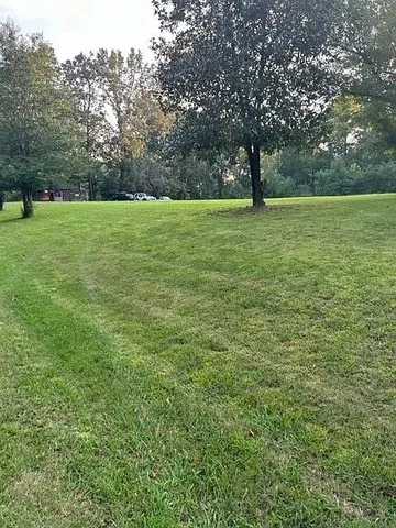 a view of a field with trees in the background