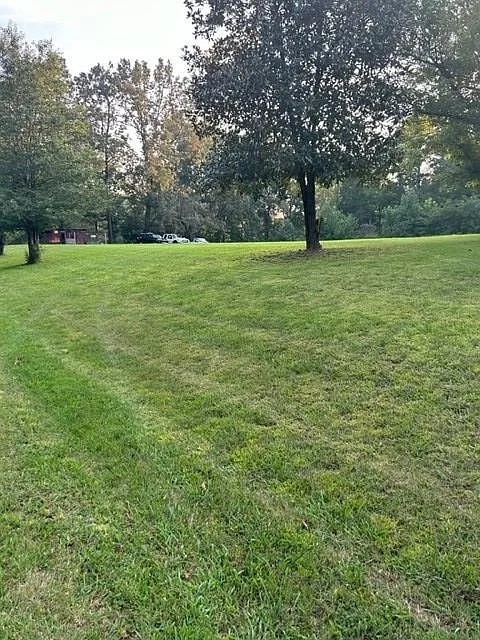 1105 Eastview Road Camden, TN 38320 - Photo 3 of 21 Gallery Image 3