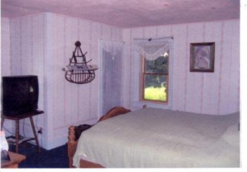 1751 Codling Road Adrian, MI 49221 - Photo 7 of 7 918909-6.JPG