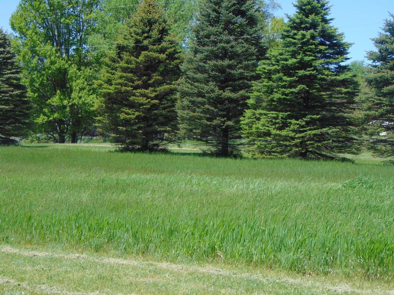 13774 Unadilla Road Gregory, MI 48137 - Photo 3 of 29 Photo 3