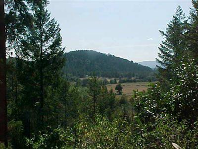 355 Browntown Road Cave Junction, OR 97523 - Photo 3 of 6 Additional Photo