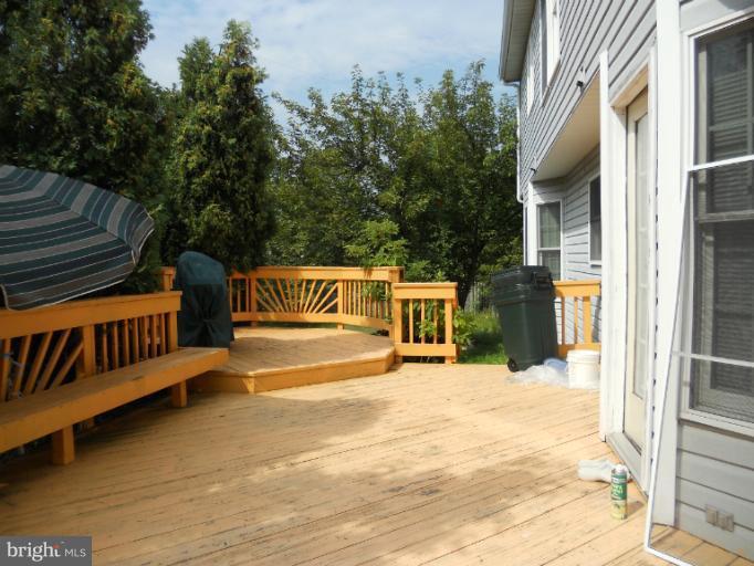 Large Deck