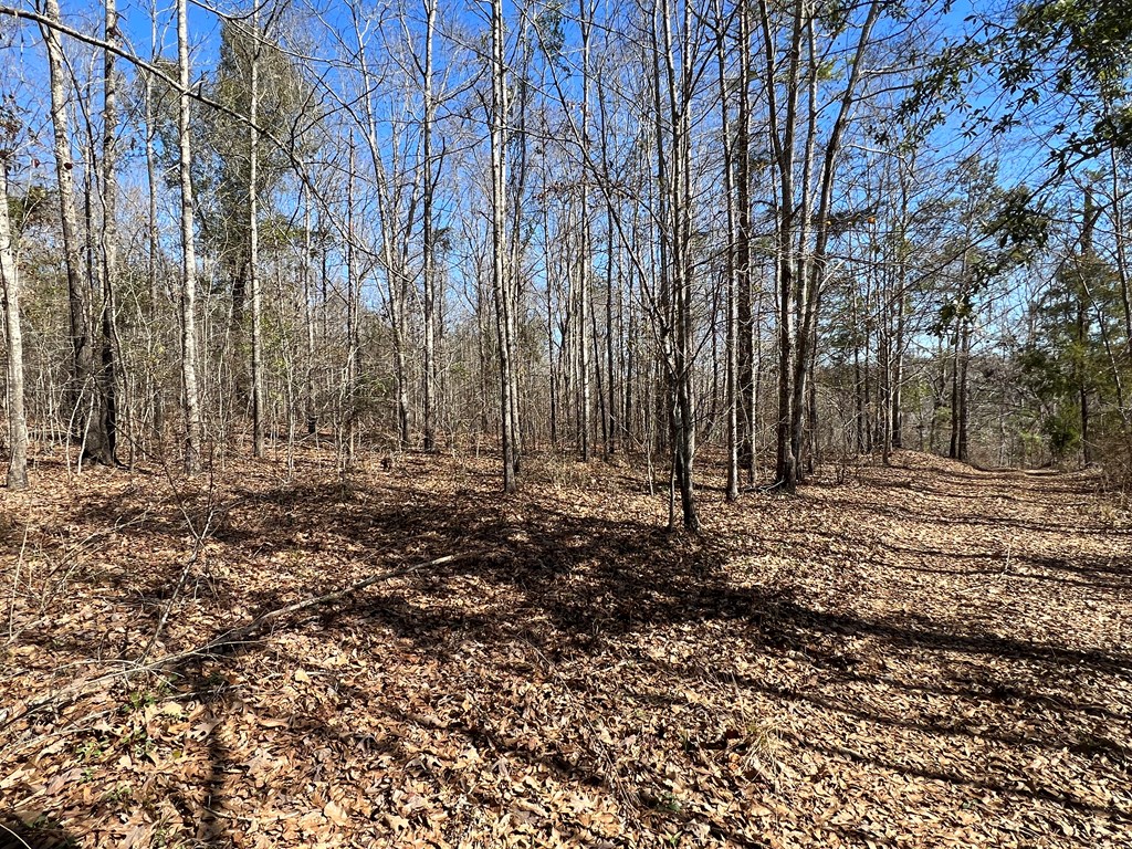 0 County Road 97 Abbeville, AL 36310 - Photo 42 of 53